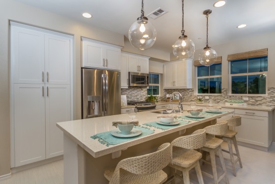Model Home 1