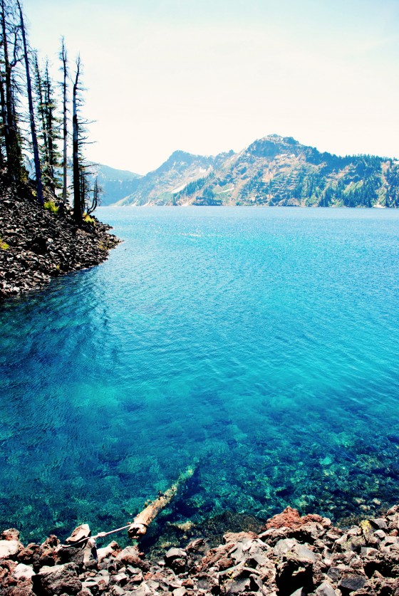 Photo 12 by Dream Lenz Photography for Mother nature