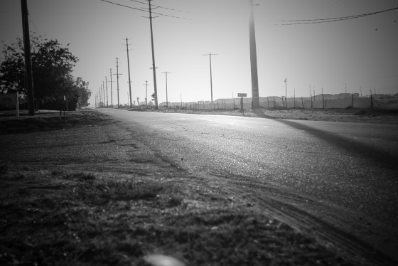 Photo 4 by Caslin for Landscape