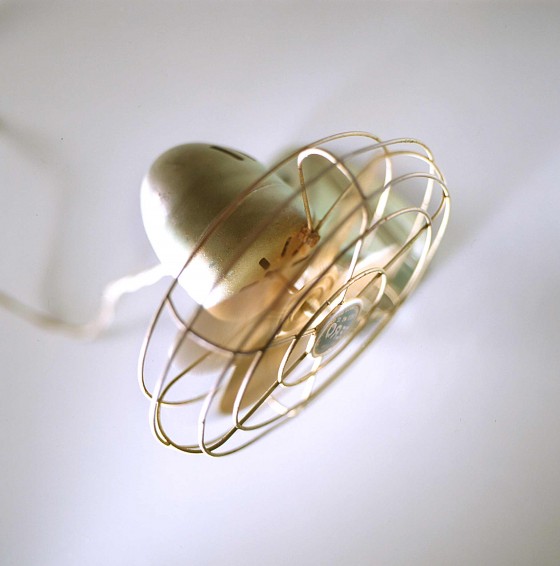 Photo 11 by Ciara Studio LLC for Product