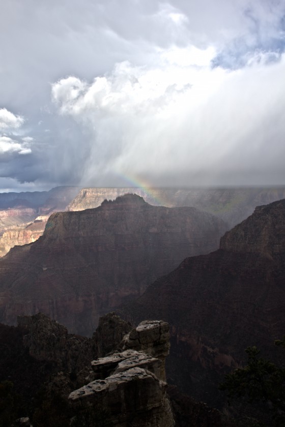 Photo 1 by Roger Timm for Nature Photography