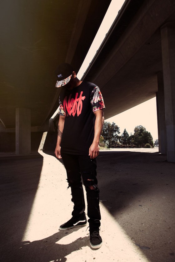 Zumiez AD for the Snakelife Collection