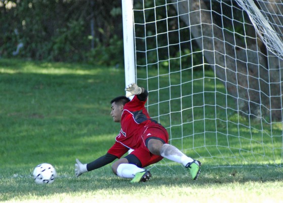 Photo 14 by Roy Caratozzolo for Sports Photography