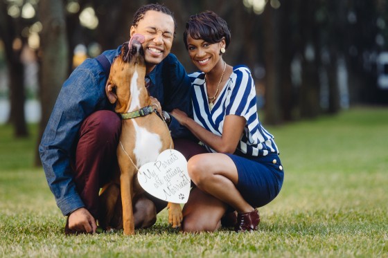 Engagements with Puppy