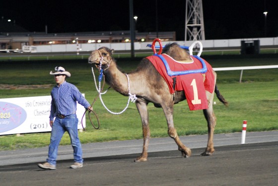 Photo 205 by Roy Caratozzolo for Sports Photography