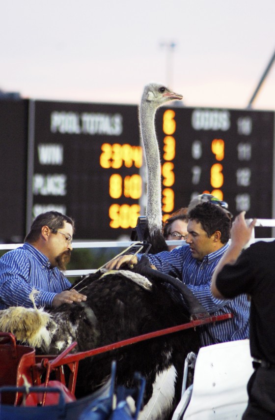 Photo 197 by Roy Caratozzolo for Sports Photography