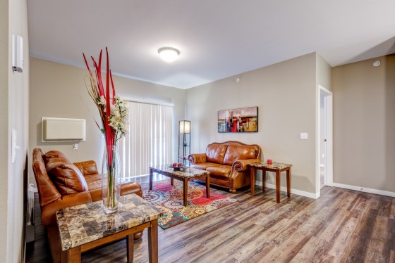 Apartment Living Room -Staged