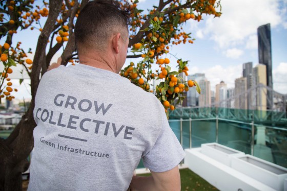 Grow Collective