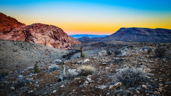 Photo 0 by Caslin for Landscape