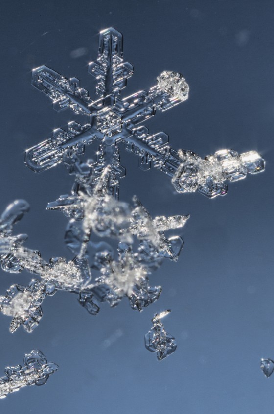 Snowflakes