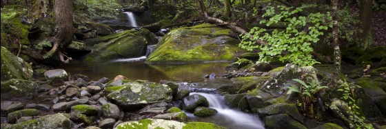 Photo 21 by Dan Minicucci for Panoramics