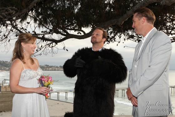 Photo 132 by John Cocozza Photography for Wedding Photography