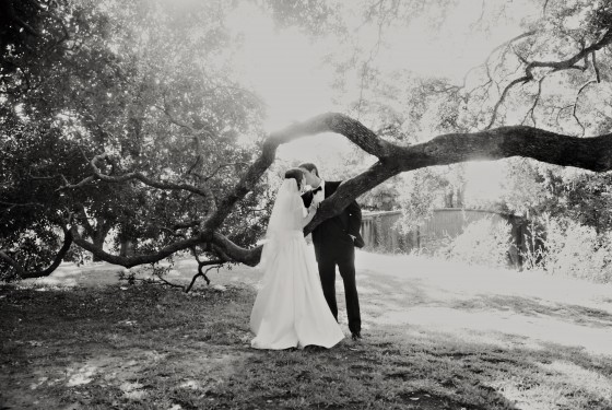 Photo 14 by Dream Lenz Photography for LOVE