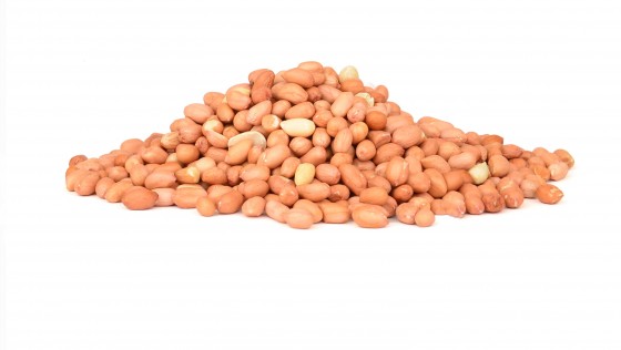 Seed Pile