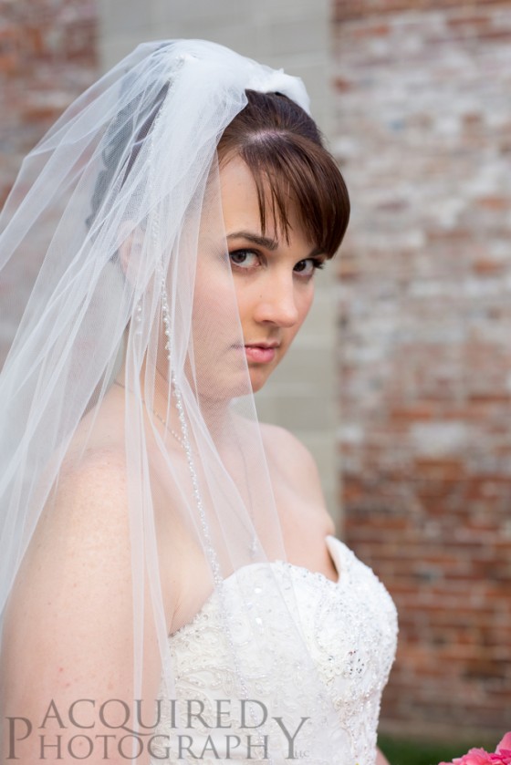 © Acquired Photography,LLC acquiredphotography.com