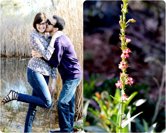 Engagement Shoot