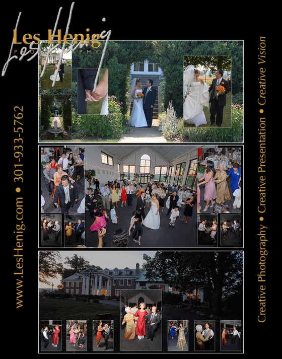 Photo 6 by Les Henig for Wedding Photography