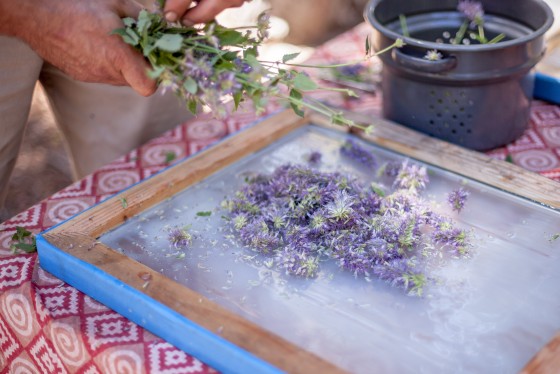 Photo 1 by Mat Rick Photography for Juniper Ridge