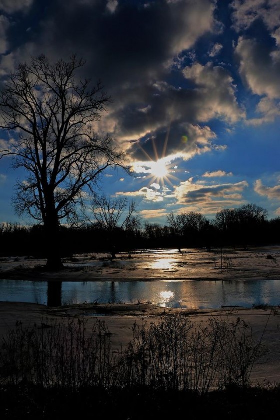 Winter Walk
Lansing Rivertrail