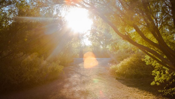 Photo 10 by Caslin for Landscape