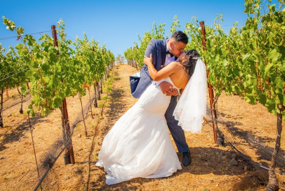 Kissing in the Grape Fields