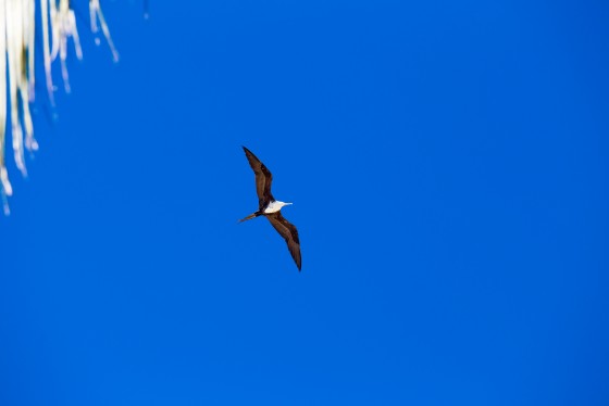 Photo 3 by Adrian Rapp for Travel Photography