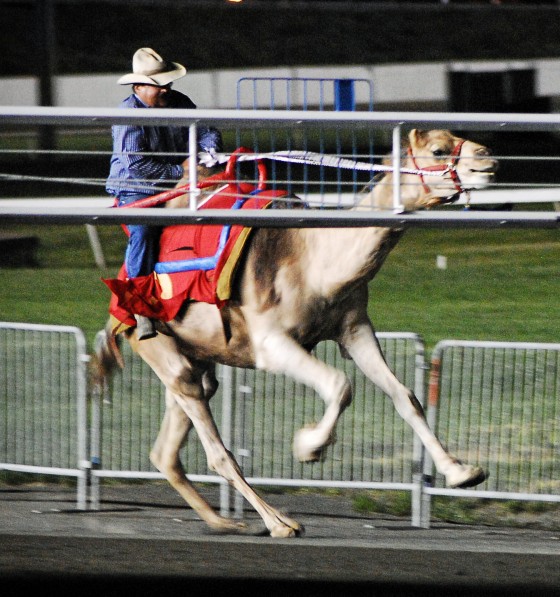 Photo 210 by Roy Caratozzolo for Sports Photography