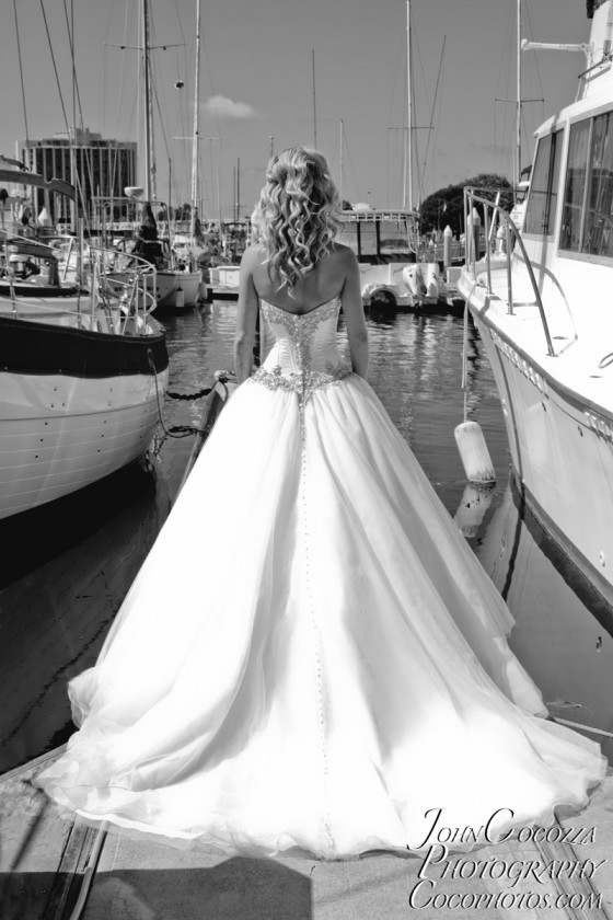 Photo 50 by John Cocozza Photography for Wedding Photography
