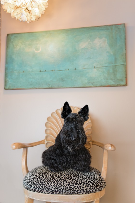 Photo 6 by Diana Lundin for Pet Photography
