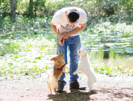 Photo 17 by for Pets and their Owners