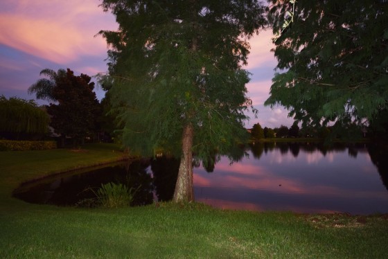 Photo 27 by SallyUllmanPhotography for Real Estate Images