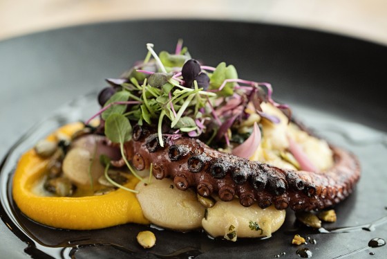 farm to table octopus