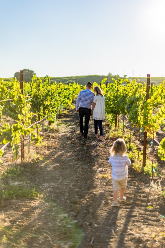 Photo 2 by Photovino for Wine Country Portraits