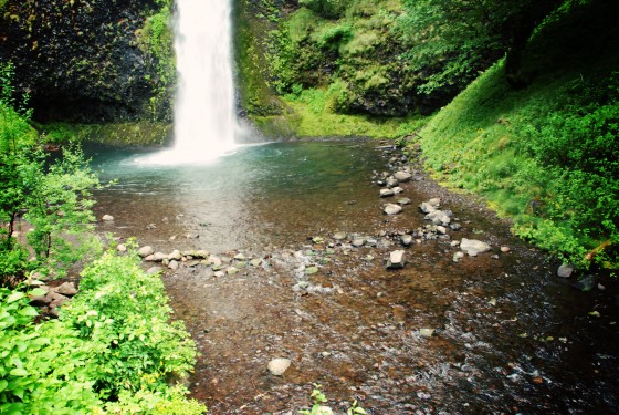 Photo 13 by Dream Lenz Photography for Mother nature