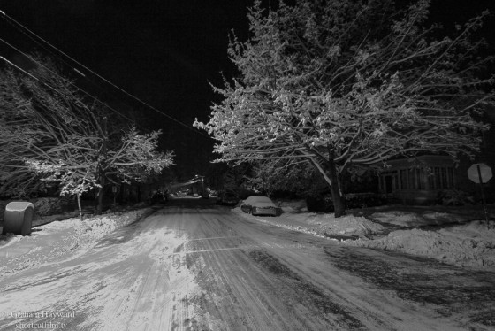 Photo 184 by Graham Hayward for General Photography
