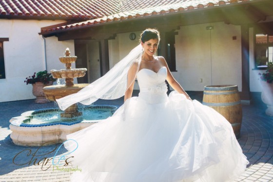 Photo 10 by Charles Le Photography for Weddings
