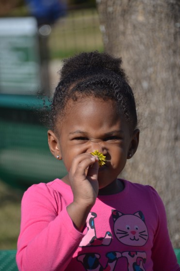 Photo 8 by Darnitra Jackson for Adalynn Candid Portraits