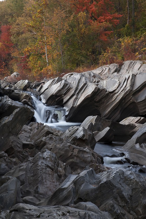 Fall Foliage Westfield River