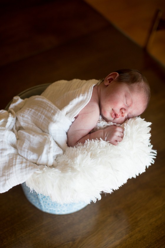 Photo 15 by Portraits by Shanti for Babies