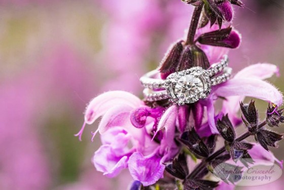 New York City Wedding Photography