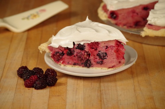 Norske Nook - Blackberry Sour Cream pie - cookbook image