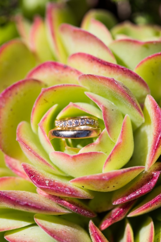 Photo 13 by nick otto for Wedding Photography