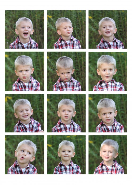 Photo 6 by Blue Maple Photography for General Photography