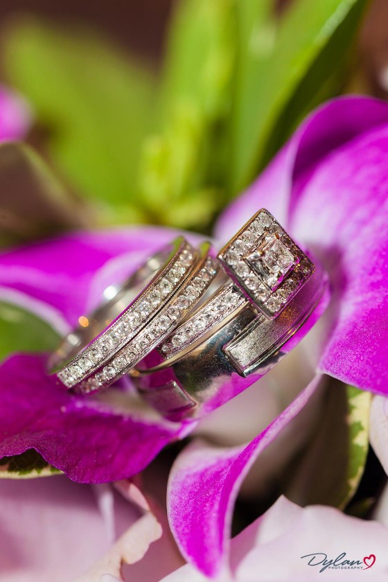 Lubin Tasevski Photography - Wedding Photos