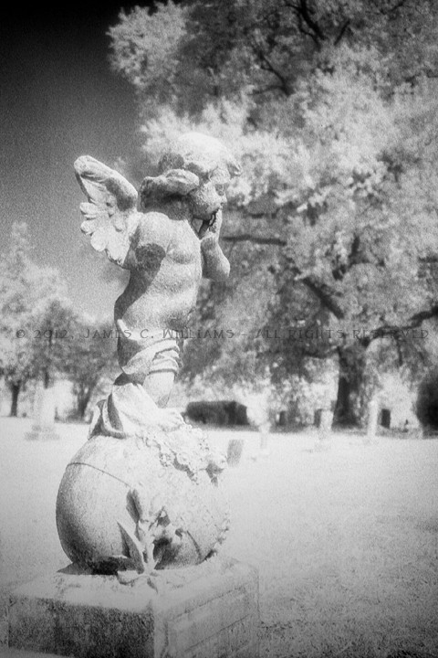 Cherub On Orb
Maplewood Cemetery, Wilmington, NC
Digital B&W, 2015