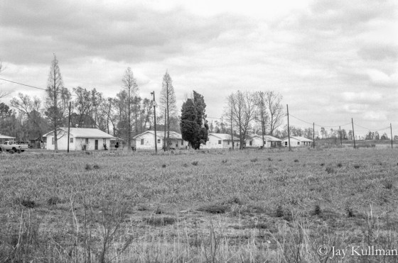 Rice Field & Houses, Louisiana