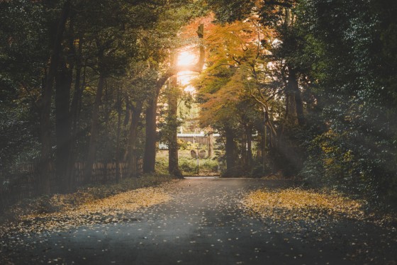 Photo 4 by Taylor Shumway for Landscape Photography
