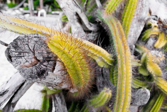 Photo 16 by Creative Maven for Nature Photography
