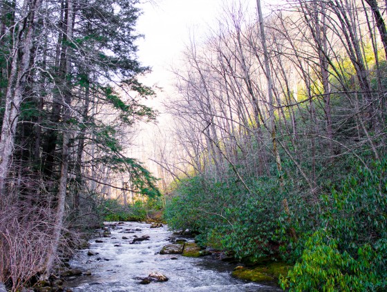 Photo 25 by Creative Maven for Nature Photography