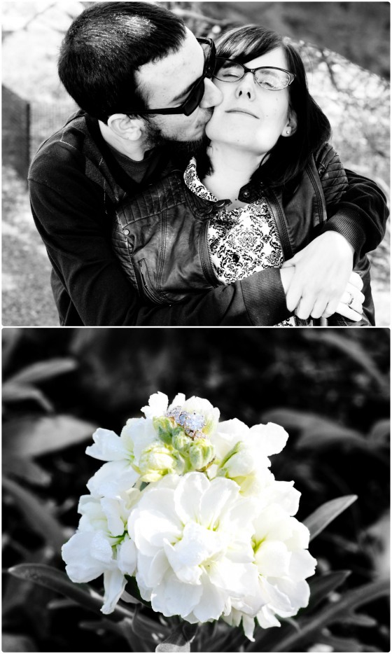 Engagement Shoot